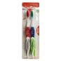 ( ) CEP.DEN.WHOLEFRESH TECK ANAT.2X1 ICOM