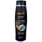 CHAMPU ISABELY ROMERO Y QUINA 450 ML