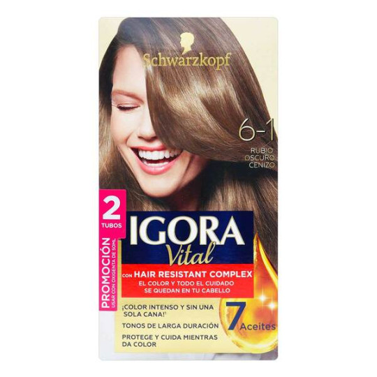 IGORA VITAL D.TUBO 6-1 RUB.OSCURO CENIZO