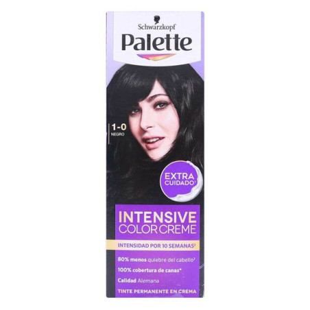 PALETTE CREM TUBO 1-0 NEGRO