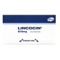 LINCOCIN 600 MG 5 AMPOLLAS