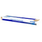 SONDA ETERNA FOLEY 2 VIALES N.22 15 CC